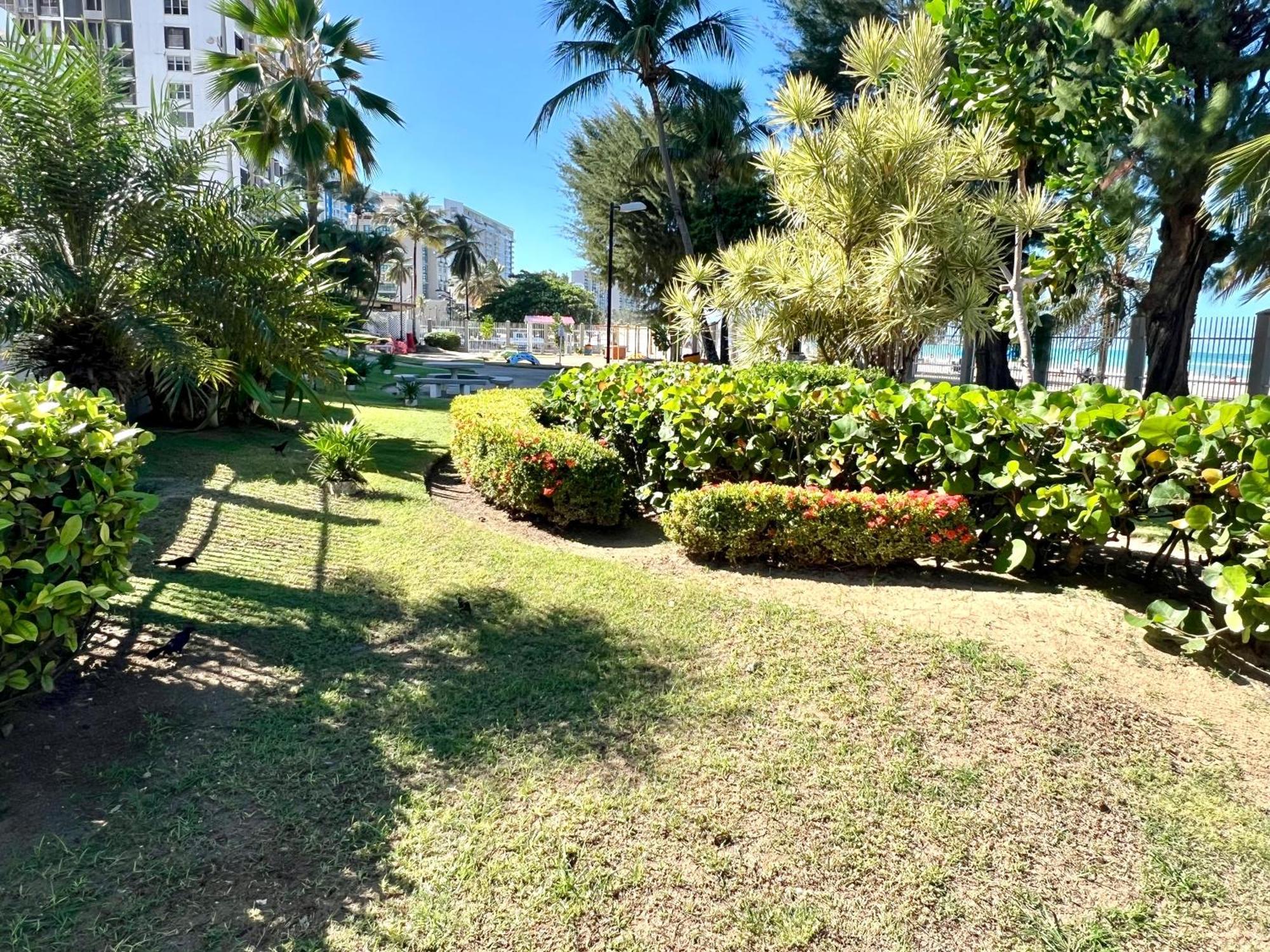 Ocean View Apt On Isla Verde In A 14Th Floor San Juan Extérieur photo
